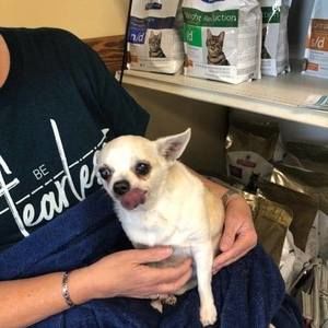 Meet your Posher, Jamey